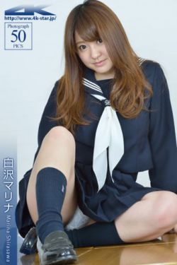 岳飞传